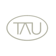 Logo Tau Capital Services Corp.