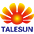 Logo Talesun Solar Co., Ltd.