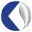 Logo CKS Advisors LLC