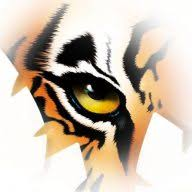 Logo TigerTMS Ltd.
