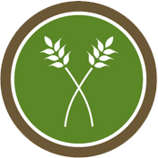 Logo Lakeshore Food Advisors LLC
