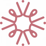 Logo Canadian Association of Women Executives & Entrepreneurs