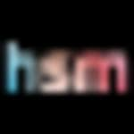 Logo HSM Educação SA