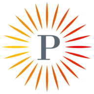 Logo Pulse Foundation