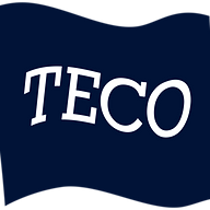 Logo TECO Electronics AS