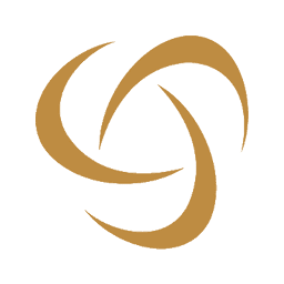 Logo Capital International Group Ltd.