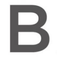Logo Basalt Infrastructure Partners /Private Equity/