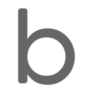 Logo Brainchip, Inc.
