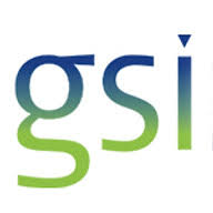 Logo Global Surface Intelligence Ltd.