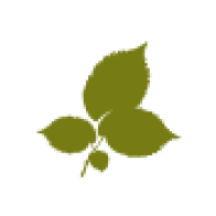 Logo The National Trust for Jersey