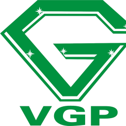 Logo Vip Greenport JSC