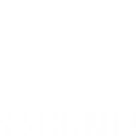 Logo The Nalls Sherbakoff Group LLC