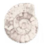Logo Bridge Petroleum Ltd. (United Kingdom)