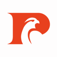 Logo Pinnacle Search Partners LLC