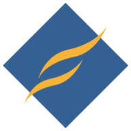 Logo Firestorm Solutions LLC