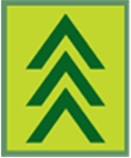 Logo S&T-Evergreen Insurance LLC