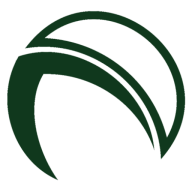 Logo SIN SpA - Sistema Informativo Nazionale per lo Sviluppo