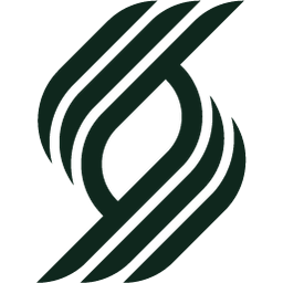 Logo SaSo Strategic Advisers Ltd.