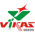 Logo Vikas Hybrid Seeds Pvt Ltd.
