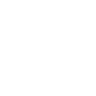 Logo America Israel Cultural Foundation