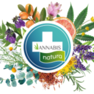 Logo ANNABIS Medical sro
