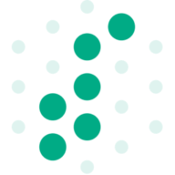 Logo Digitalnorway AS