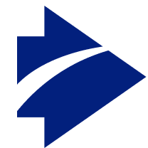 Logo Syngin Technology LLC
