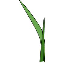 Logo First Leaf Capital LLC