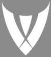 Logo Varsity Financial Group Holdings, Inc.