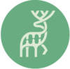 Logo Fauna Bio, Inc.