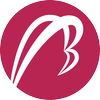 Logo Betatron Ltd.