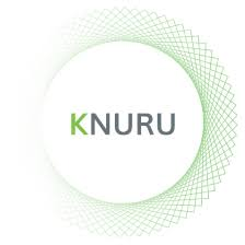 Logo Knuru Investment Ltd