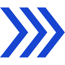 Logo BrightInsight, Inc.