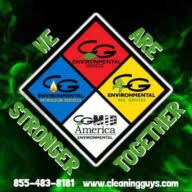 Logo The Cleaning Guys LLC