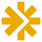 Logo New York Proton Center