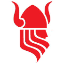 Logo Viking Services DMCC