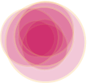 Logo Desai Foundation
