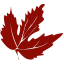 Logo Bella Vita Health & Rehabilitation Center