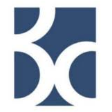 Logo Beyond Conflict, Inc.