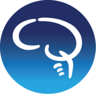 Logo Barrow Neurological Foundation