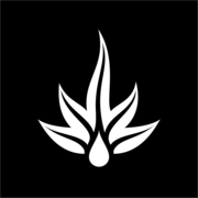 Logo Cinco Spirits Group LLC