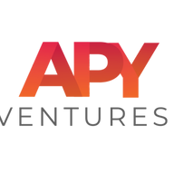Logo APY Ventures (Turkey)