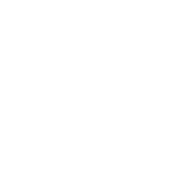 Logo Prostar Holdings, Inc.