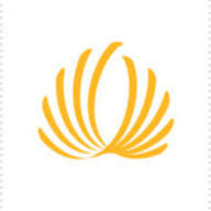 Logo Solar Capital De Aar 3