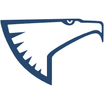Logo Eagle & Wise Service Srl
