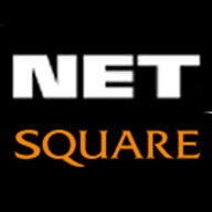 Logo Netsquare Co., Ltd.