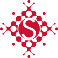 Logo Stuart Therapeutics LLC