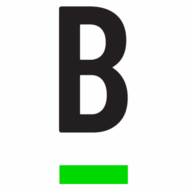 Logo Bridge Investment Group Holdings, Inc.