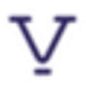 Logo Viewnetic Ltd.