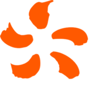 Logo Edison Reggane SpA